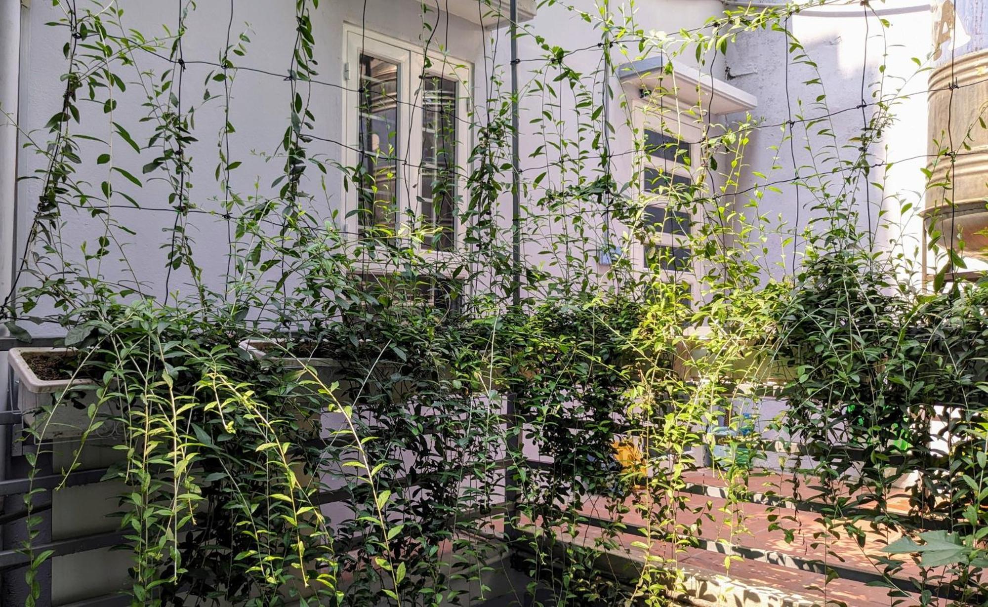 Goc Nho Ha Noi Homestay Ανόι Εξωτερικό φωτογραφία